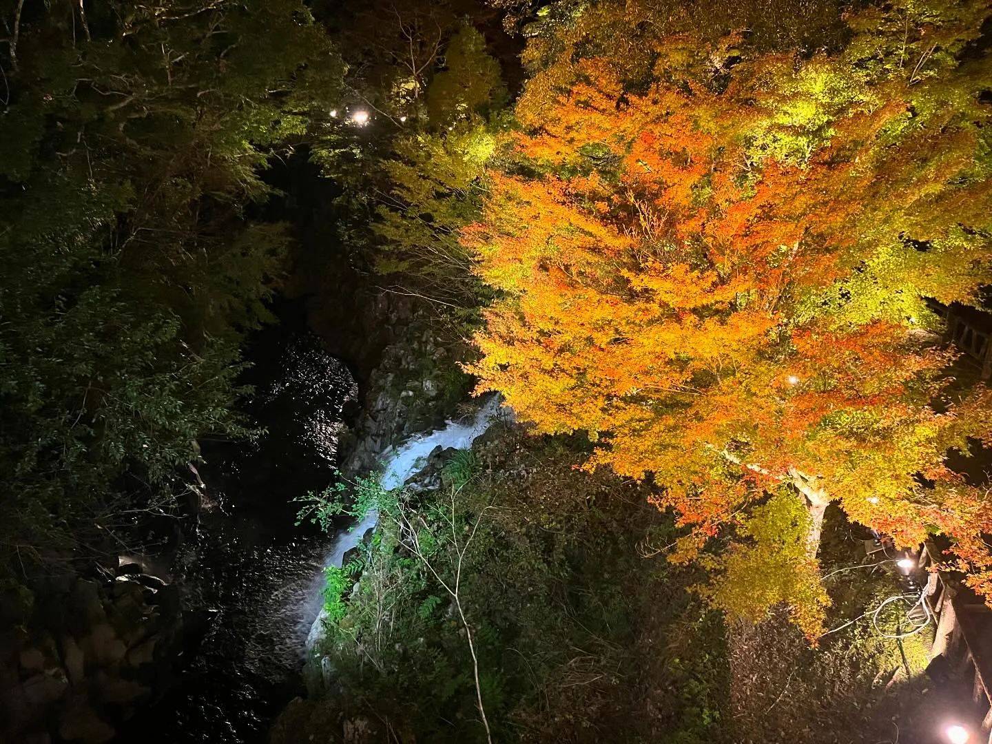 今日の長田峡の紅葉🍁🌱✨