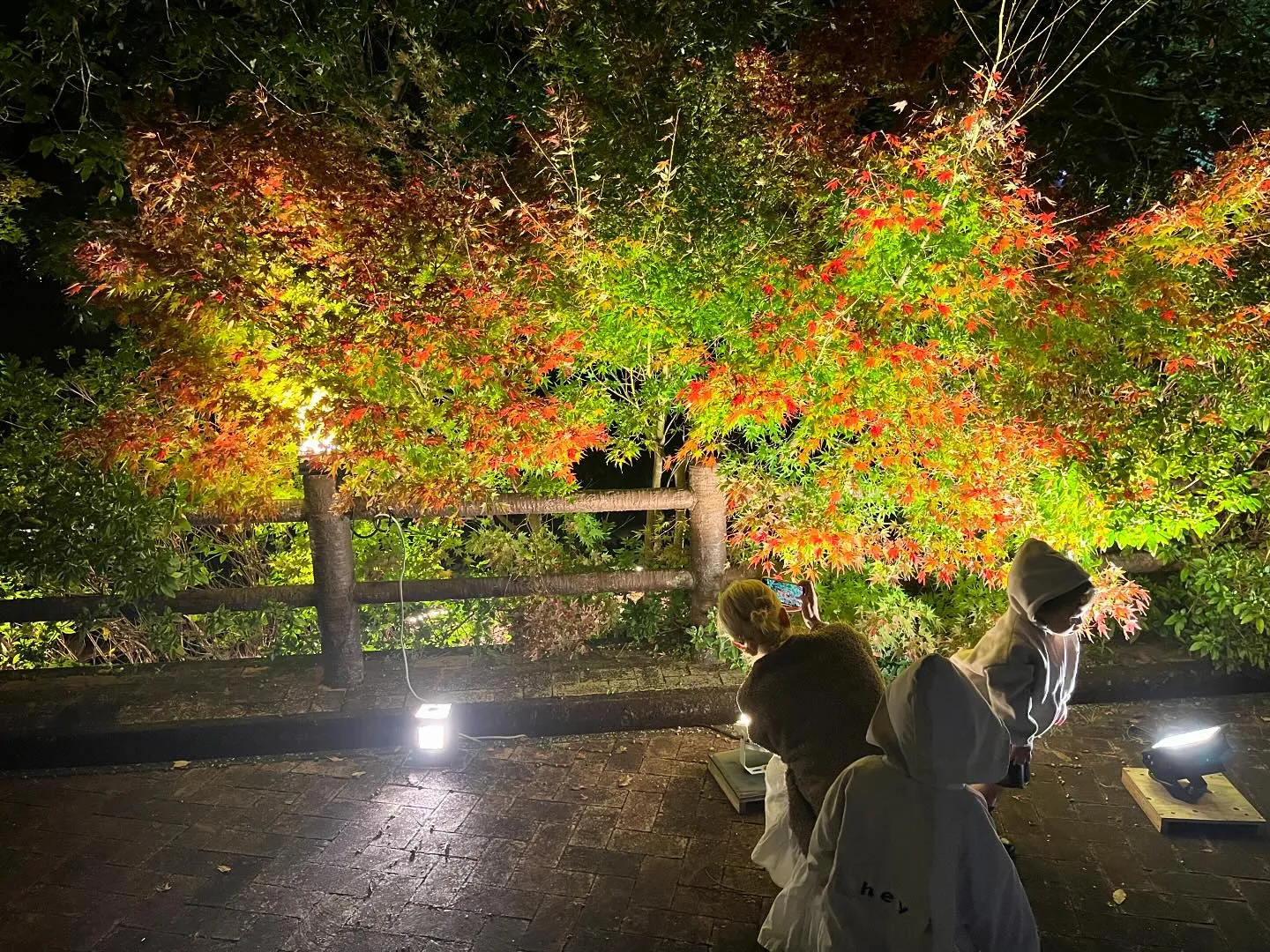 今日の長田峡の紅葉🍁🌱✨