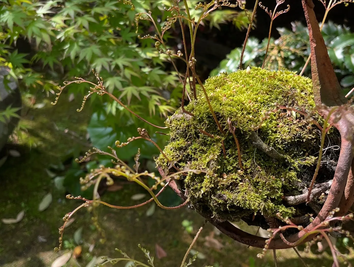 週末は鹿児島に遊びに行って来ました😊