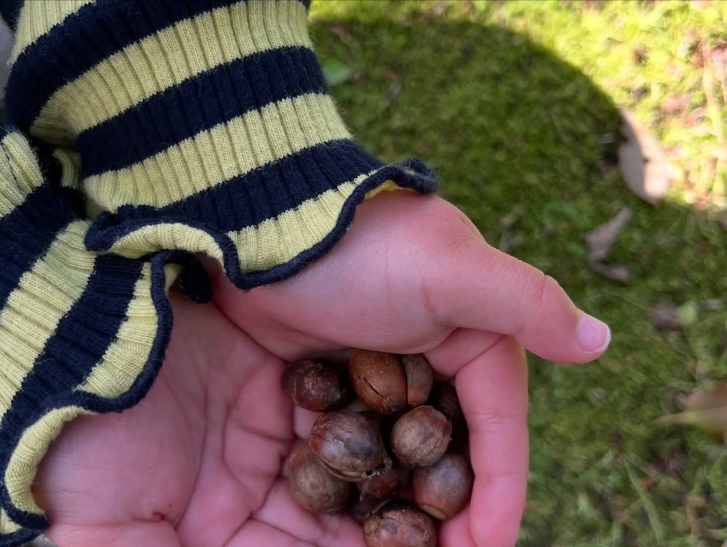 週末は鹿児島に遊びに行って来ました😊