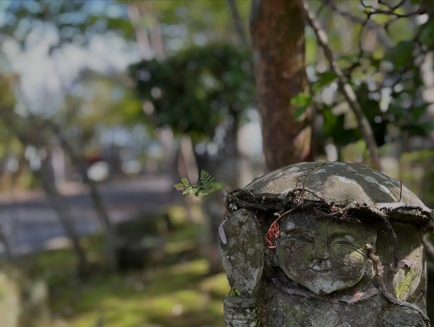 週末は鹿児島に遊びに行って来ました😊