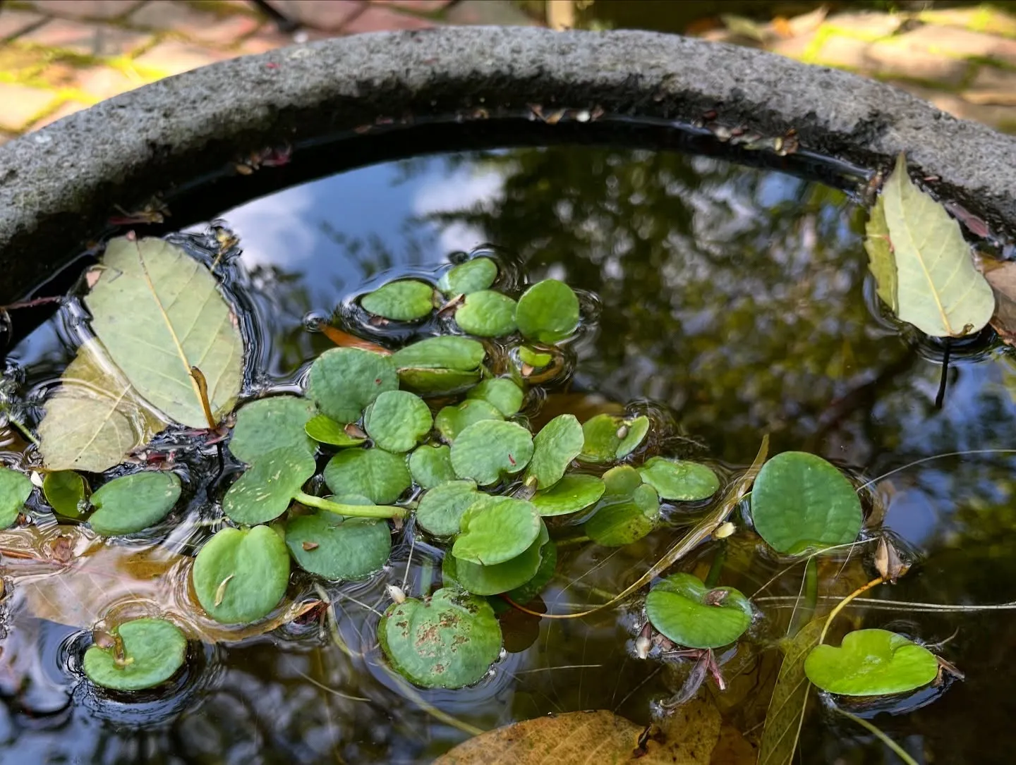 週末は鹿児島に遊びに行って来ました😊