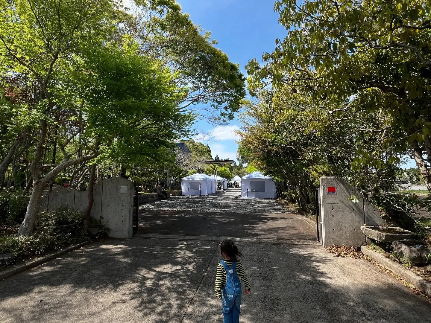 週末は鹿児島に遊びに行って来ました😊