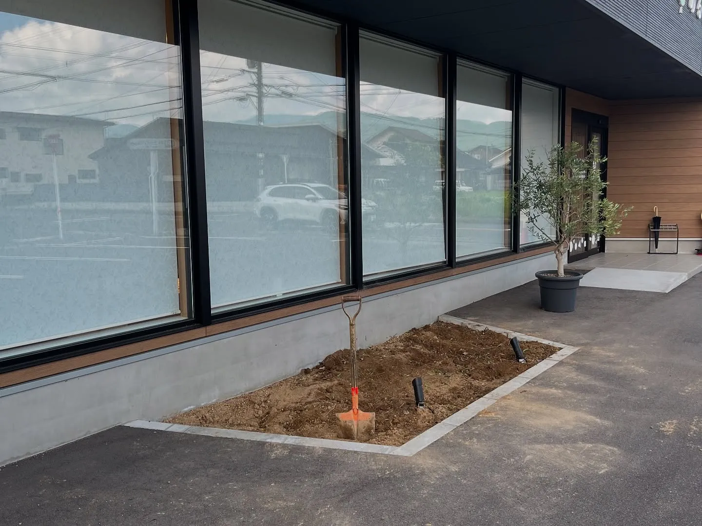 🌵整骨院の植栽を植え替えました🌴