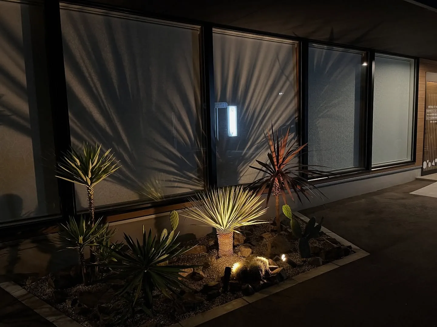 🌵整骨院の植栽を植え替えました🌴