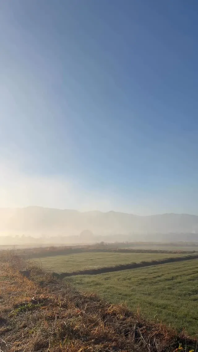 今日は施術スタッフの体調不良により、