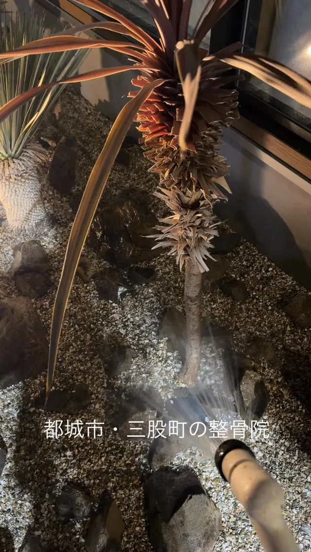 都城市・三股町の整骨院